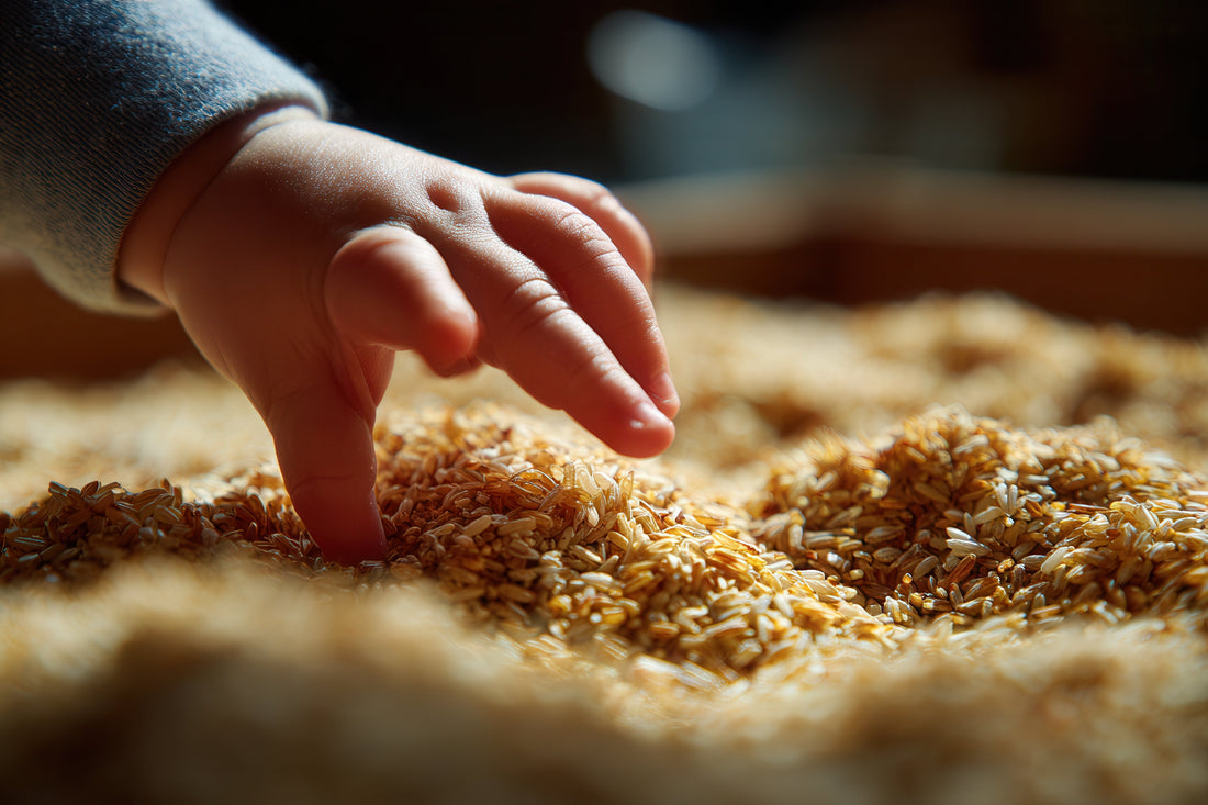 What to Look for in a Sensory Bin — A Teacher's Honest Guide