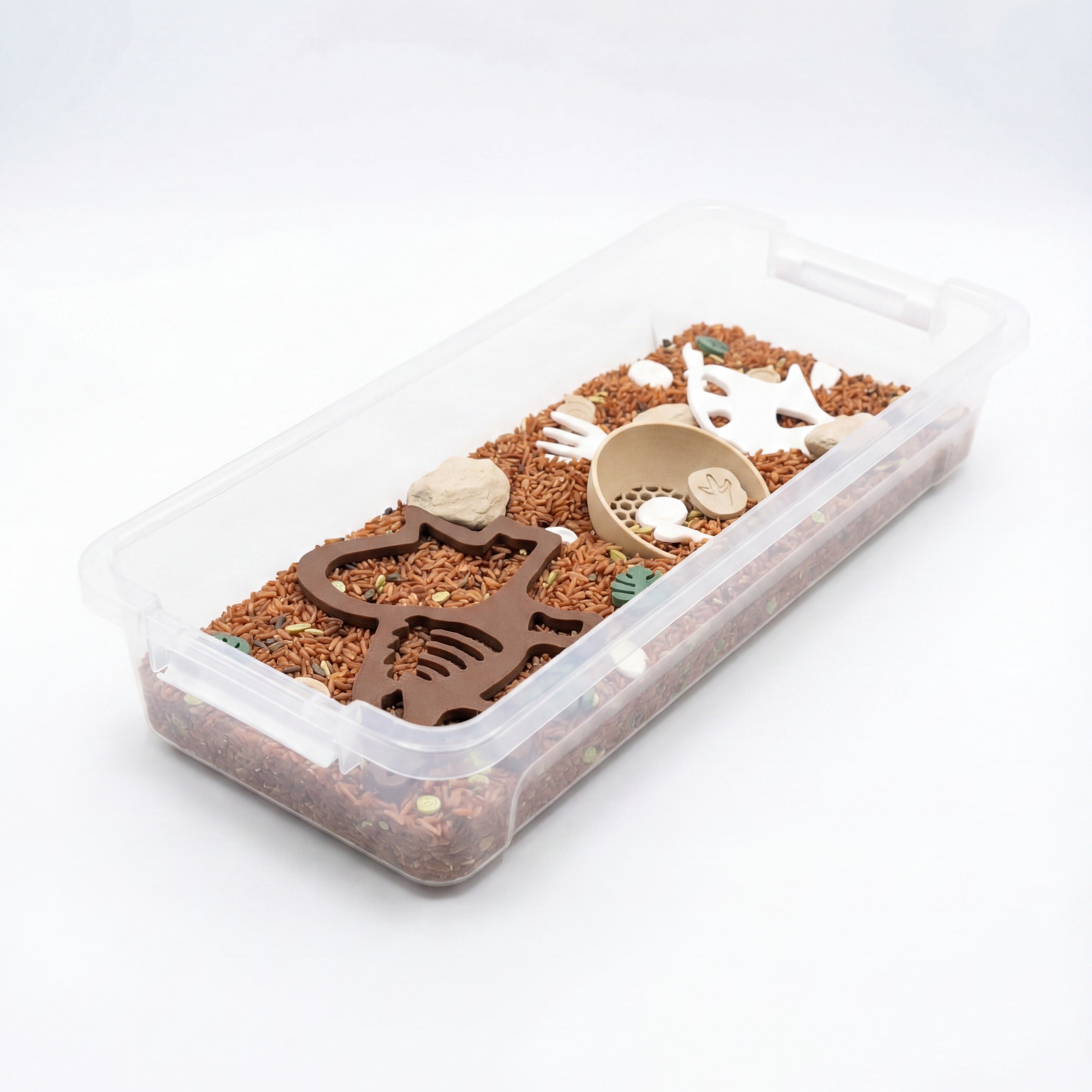 Dinosaur Fossils Sensory Bin