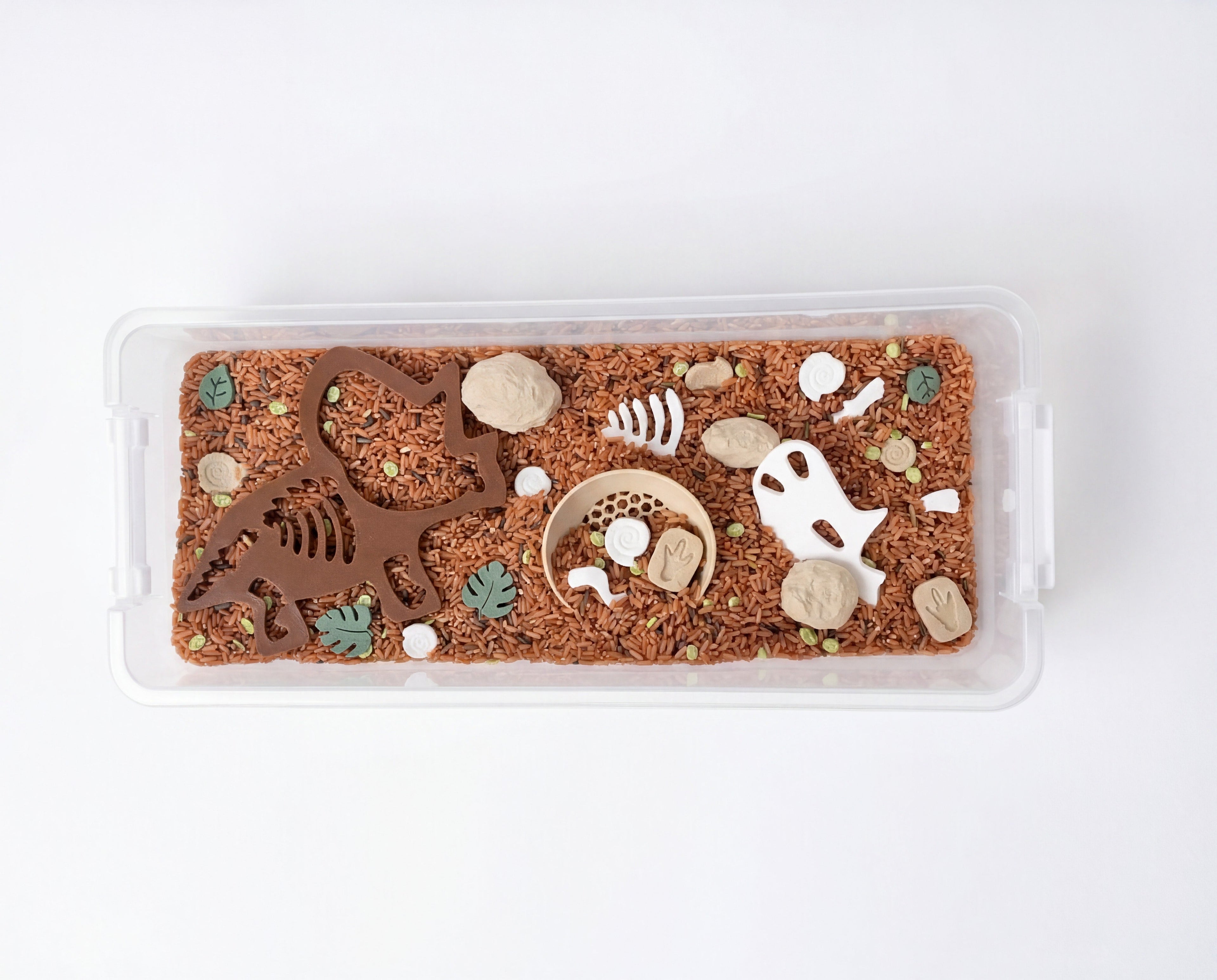 Dinosaur Fossils Sensory Bin