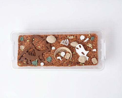 Dinosaur Fossils Sensory Bin